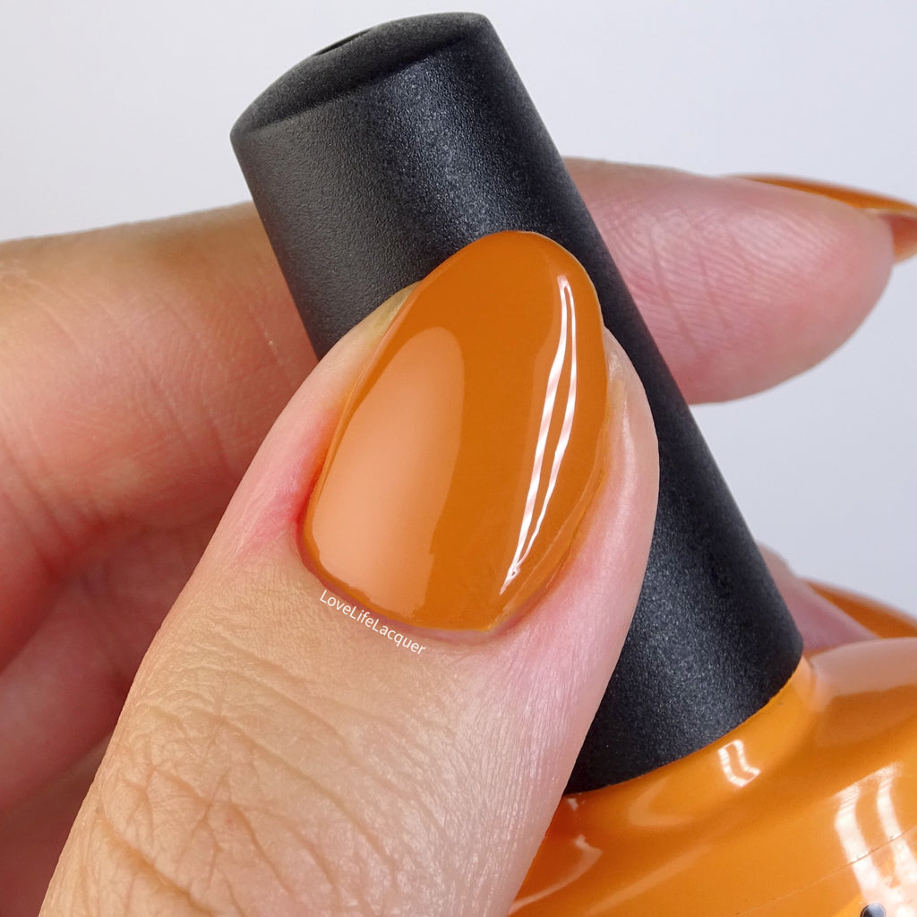 Pumpkin Spice 15ml