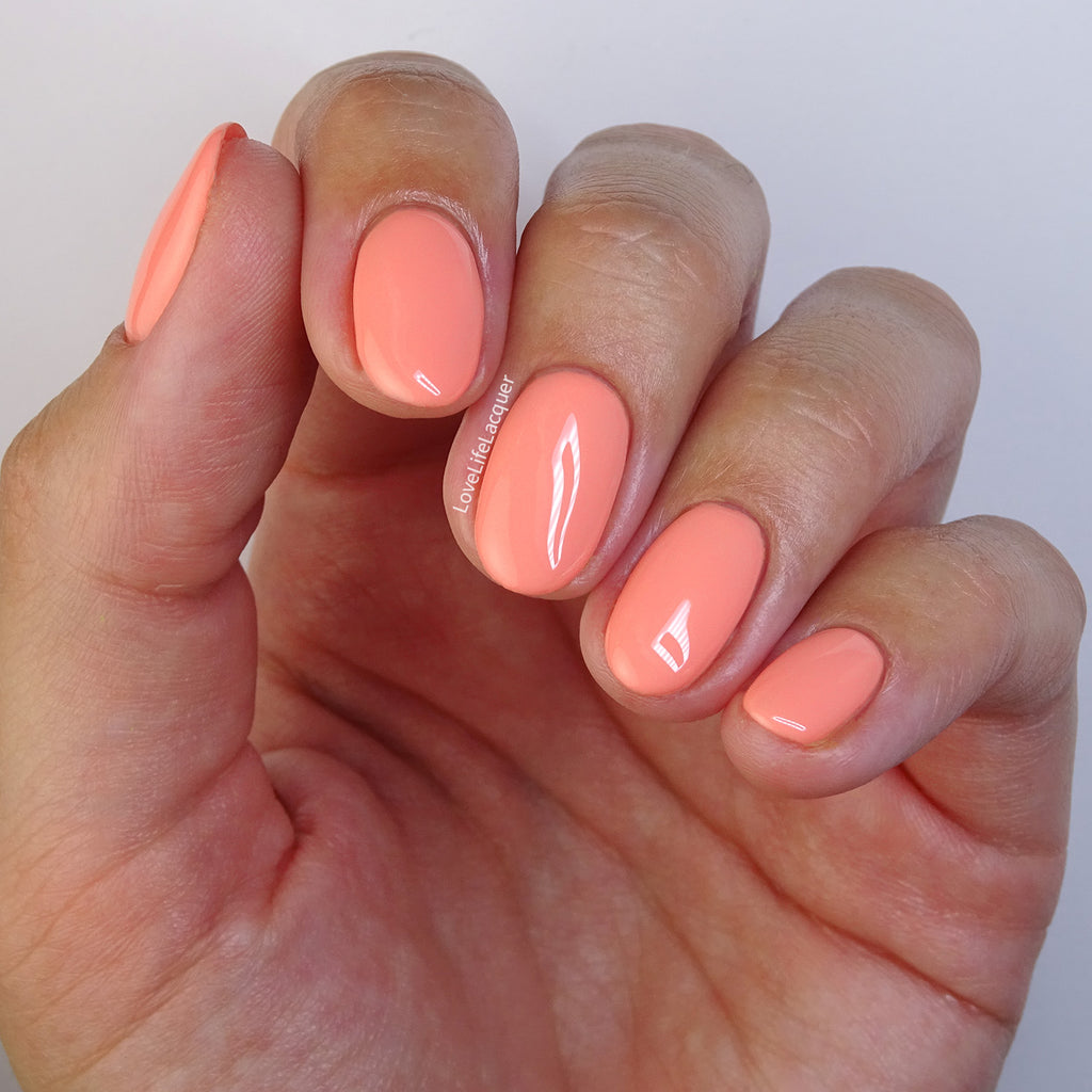 Coral Bay 15ml